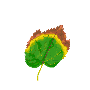 untitled drawing