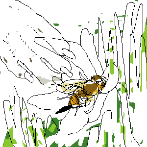 untitled drawing