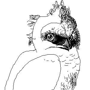 untitled drawing