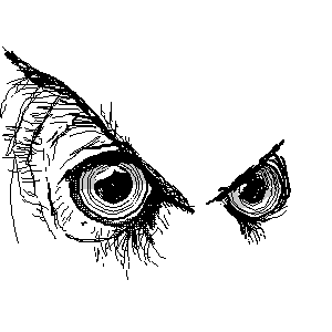 untitled drawing