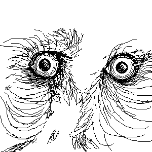 untitled drawing
