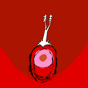untitled drawing