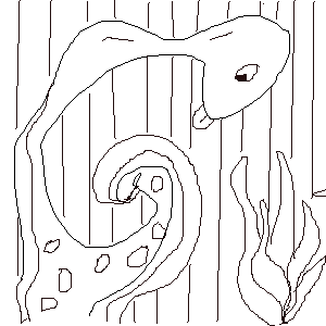 untitled drawing
