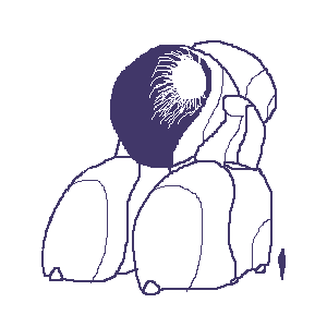 untitled drawing