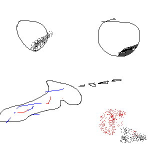 untitled drawing