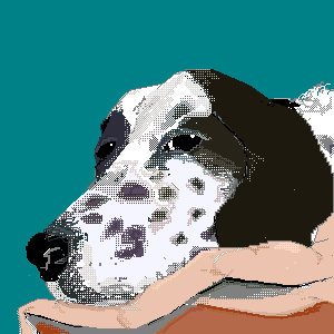 untitled drawing