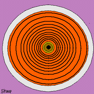 untitled drawing